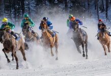 Czym się różnią turfy od korków?