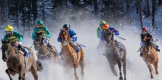 Czym się różnią turfy od korków?