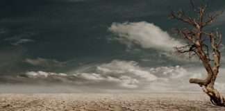 Do czego służą Jałowe kompresy gazowe?