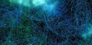 Co jest paliwem dla mózgu?