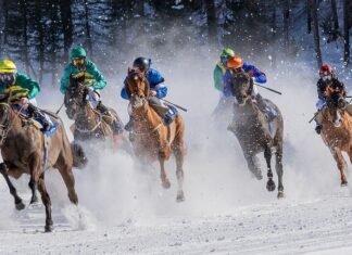 Czy turfy rysują na hali?
