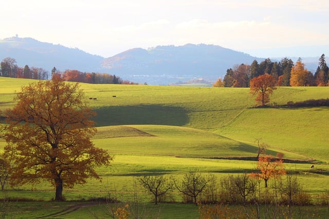 Ile to 16 000 brutto? Ile to 16 000 brutto?