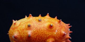 Czy ogórek zielony obniża cukier?