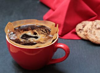 Jaki filtr do akwarium morskiego?