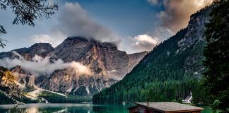 Czy żona ma prawo do domu męża?