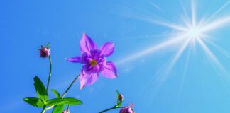 Czy można grać w korkach na Orliku?