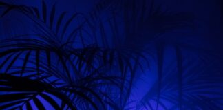 Co oznacza P na pierścionku?