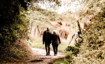 Co się nie wlicza do emerytury?