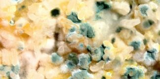 Czy można jeść spleśniałe orzechy włoskie?