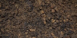 Jak zrobić zalewę do ogórków w occie?