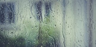 Dlaczego w piłkę gra się w korkach?