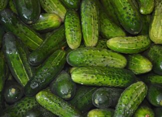 Ile może stać zalewa do ogórków?