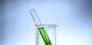 Jak pozbyć się glonów w akwarium?