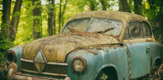 Jakie orzechy na pamięć?