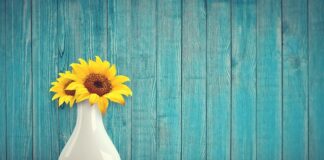 Ile kg słonecznika na 1 litr oleju?