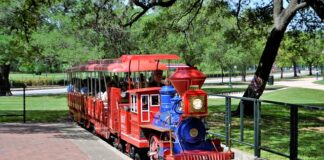 Kto dziedziczy po kolei?