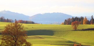 Ile to jest 7 tys brutto?