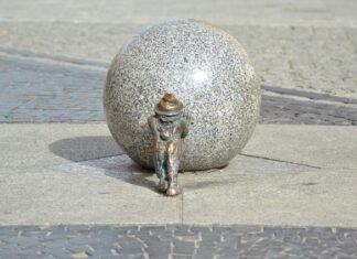 Czy warto samemu tłoczyć olej?