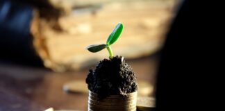 Czy opłaca się kupować akcję spółek z dywidenda?