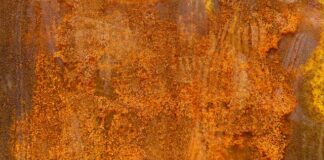 Jakie są objawy braku żelaza w organizmie?