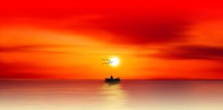 Jak zostać profesjonalnym wędkarzem?