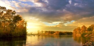 Ile kosztuje koło dojazdowe?