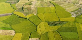 Jak nie bać się podczas walki?