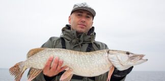 Na co najlepiej biorą sandacze?