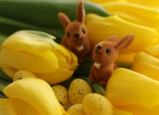 Jaka wiatrówka na zające?