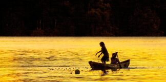 Czy można zabrać złowione ryby?