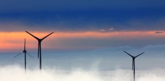 Jak zrobić wiatrak ogrodowy z butelki?