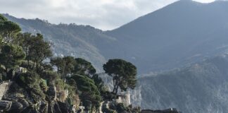 Ile kosztuje bagaż 10 kg w Wizzair?