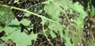 Jak naprawić nieszczelny wentyl?