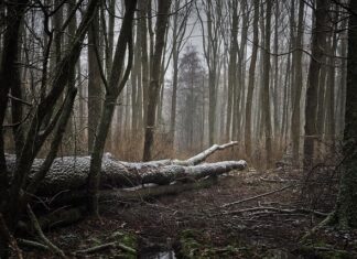 Czemu wieczorem nie wieje?