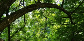 Gdzie można kupić nakrętki na wentyle?