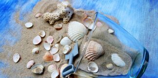 Ile razy w tygodniu ćwiczyć sporty walki?