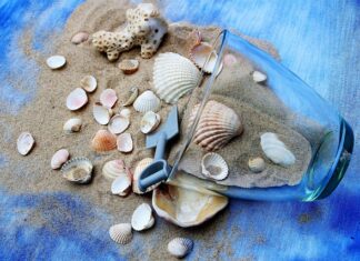 Ile razy w tygodniu ćwiczyć sporty walki?