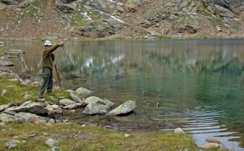 Co ile zarzucać Wędkę?