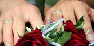 Jak nazywa się okres godowy danieli?