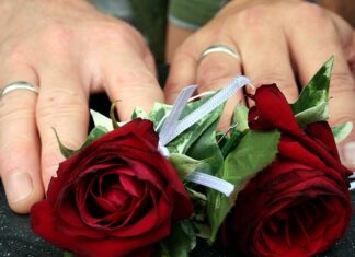 Jak nazywa się okres godowy danieli?