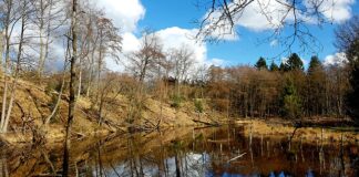 Jak się podaje ilość opadów?