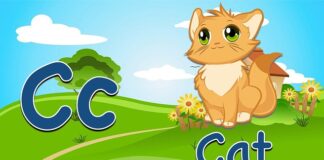 Jaka fiszka dla 10 latka?