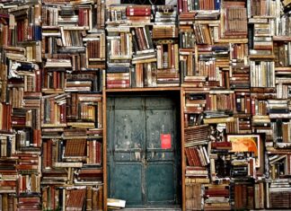 Na jakie sztuki walki najlepiej się zapisać?