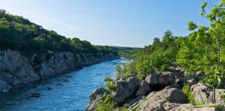 Kiedy i jak wabić Koźla?