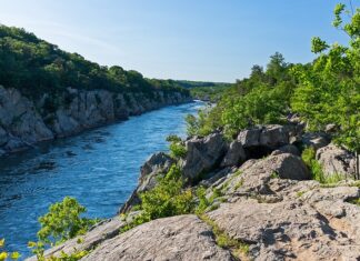 Kiedy i jak wabić Koźla?
