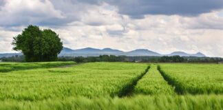 Ile kosztuje wymiana całych kół?