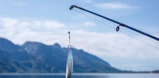 Co to są przynęty naturalne?