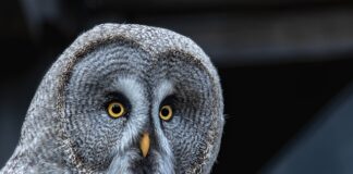 Co decyduje o sile wiązania chemiczne?