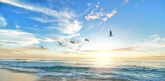 Do kogo należy brzeg jeziora?