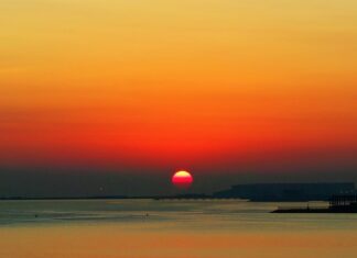 Czy warto wyrobić kartę wędkarską?